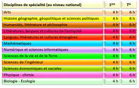 Choisir ses spécialités du bac général en seconde